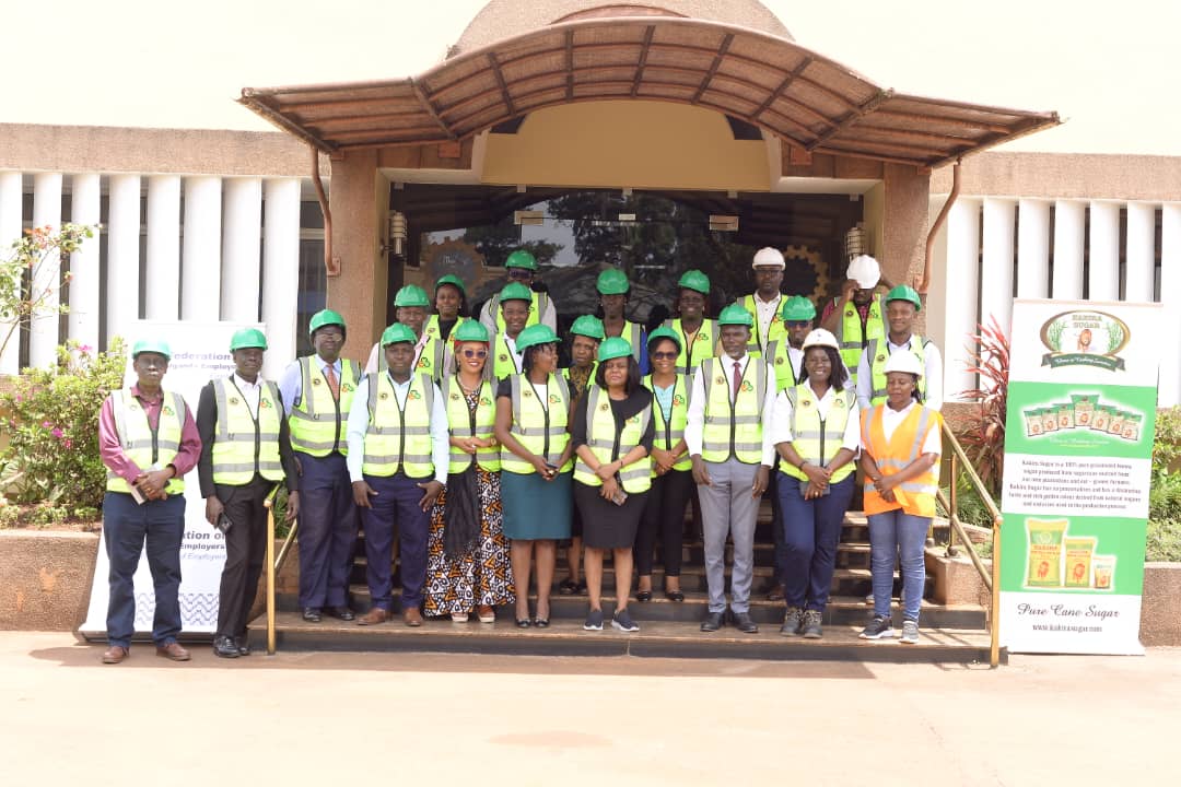 WhatsApp Image 2025-11-25 at 10.01.56 AM (2)